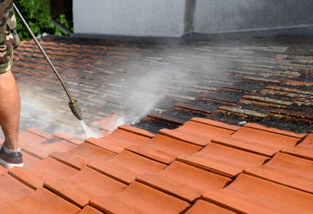 Best Roof Pressure Washing  in Orchard Mesa, CO