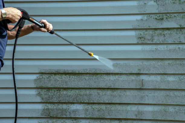Best Sidewalk Pressure Washing  in Orchard Mesa, CO