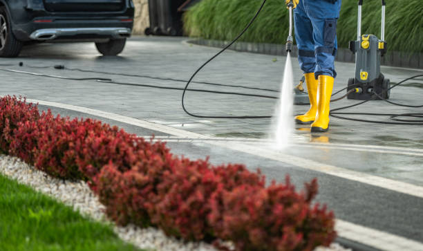 Best Deck Cleaning Services  in Orchard Mesa, CO